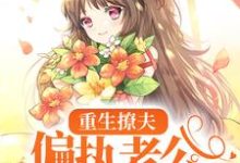 岑挽陆北恂小说叫什么（重生撩夫：偏执老公心肝狂颤免费阅读）-侠客文学