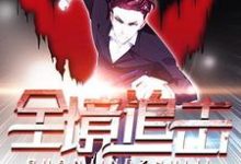 颜风虞冰的完整故事在哪里？读全境追击小说-侠客文学