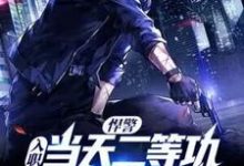 悍警：入职当天二等功，你管这叫实习生？ 方宁张锋，悍警：入职当天二等功，你管这叫实习生？章节在线阅读-侠客文学