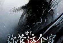 小说《啥？你管这个穿布衣的叫剑仙》在线章节阅读-侠客文学