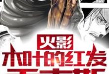 已完结小说《火影：木叶的红发香克斯》在线章节阅读-侠客文学