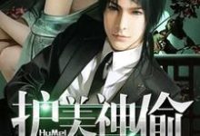 完结版《护美神偷》免费阅读-侠客文学