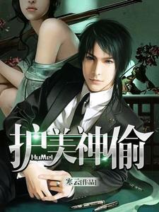 在线搜索蒋帅张萌的完整小说，免费阅读护美神偷