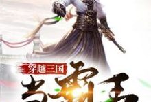 穿越三国当霸王(沈龙黄巾吕布马超)在线免费阅读-侠客文学