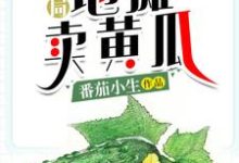 完结版《开局地摊卖黄瓜》免费阅读-侠客文学