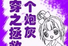 求快穿之拯救那个炮灰小说的全文免费阅读链接-侠客文学