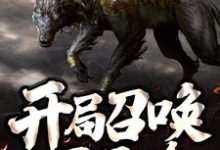 开局召唤一只二哈免费阅读,开局召唤一只二哈张扬-侠客文学