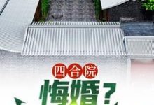 刘光齐为主角的小说叫什么？免费看四合院：悔婚？感谢不嫁之恩-侠客文学