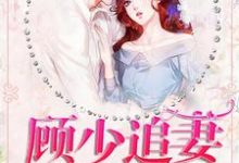 顾少追妻三十六计宁珂顾予修穆婷婷，顾少追妻三十六计小说免费阅读-侠客文学