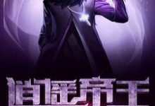 逍遥帝王混都市小说，逍遥帝王混都市最新章节-侠客文学