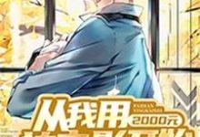 寻找能够免费阅读从我用2000元拍电影开始小说的平台-侠客文学