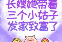 邱秋圆圆吴雪为主角的小说好看吗？求长嫂她带着三个小姑子发家致富了免费试读-侠客文学