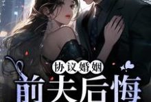 沈识微萧寒声小说在线章节免费阅读(协议婚姻:前夫后悔放我走无弹窗无删减)-侠客文学