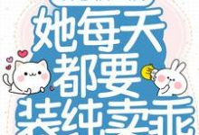 陆晚李翊是哪本书的主角？误惹权王后，她每天都要装纯卖乖免费读-侠客文学