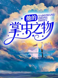 他的掌中之物主角江沉许念小说完结版章节在线阅读