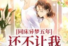 免费阅读许迎陈敬洲为主角的小说，同床异梦五年，还不让我提离婚？在线看-侠客文学
