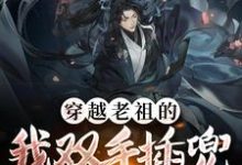 完结版《穿越老祖的我双手插兜,没有对手》免费阅读-侠客文学