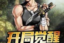 完结版《开局觉醒SSS级血统》章节阅读-侠客文学