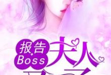 沈千歌阎默寒汤少龙是哪本书的主角？寻找报告Boss：夫人又怀了免费阅读-侠客文学