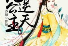 小说《绝色妖娆：逆天九公主》在线章节阅读-侠客文学