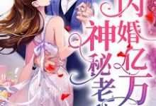 闪婚亿万神秘老公小说阅读,闪婚亿万神秘老公完结版-侠客文学