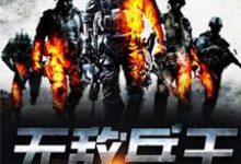 无敌兵王小说全文哪里可以免费看？-侠客文学