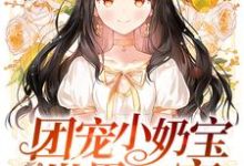 团宠小奶宝是世界首富夏沅沅墨尧宁熙宁楚遇，团宠小奶宝是世界首富章节在线阅读-侠客文学