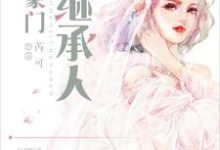 豪门继承人小说阅读,豪门继承人完结版-侠客文学