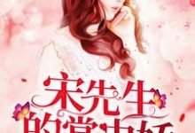 《宋先生的掌中娇》小说主角宋知愿宋致远宋时樾时樾章节章节免费在线阅读-侠客文学