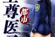 都市至尊医圣叶凡贾静雯刘薇在线章节免费阅读-侠客文学