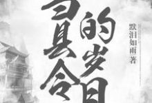 主角叫叶韬的小说在哪阅读-侠客文学