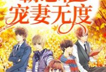 哪里能找到一见钟情:霸总他宠妻无度小说的全部章节?-侠客文学