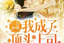 苏卿禾陆晏辞小说在哪里可以看-侠客文学