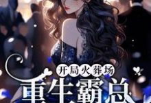 开局火葬场，重生霸总追妻路漫漫小说，开局火葬场，重生霸总追妻路漫漫章节在线阅读-侠客文学