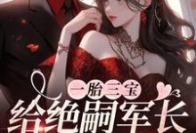 一胎三宝，给绝嗣军长来点震撼小说，一胎三宝，给绝嗣军长来点震撼在线阅读-侠客文学