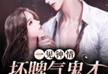 免费阅读沈淮序姜梵为主角的小说，一见钟情：坏脾气鬼才导演的克星在线看-侠客文学