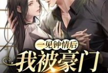在线寻找一见钟情后，我被豪门总裁强娶了小说的无删减版本-侠客文学