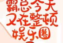 钟阮星宋谨行是哪本书的主角？灵魂互换：霸总今天又在整顿娱乐圈免费读-侠客文学