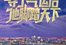 夺了气运后，他脚踏天下赵凡苏柔小说在线章节免费阅读-侠客文学