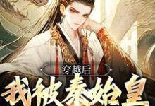 宋坤嬴政小说在哪里可以看-侠客文学