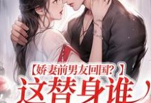 娇妻前男友回国？这替身谁爱当谁当王逸风，娇妻前男友回国？这替身谁爱当谁当章节在线阅读-侠客文学
