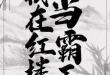 主角贾环薛宝钗小说完结版在线阅读，我在红楼当霸王免费看-侠客文学