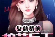 女总裁的护花兵王小说，女总裁的护花兵王免费阅读-侠客文学