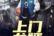 完结版《上门龙婿》在线免费阅读-侠客文学