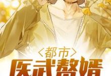 已完结小说《都市医武赘婿》章节在线阅读-侠客文学