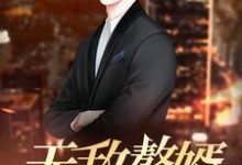 小说《无敌赘婿》章节免费阅读-侠客文学