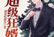 超级狂婿小说完结版章节免费阅读-侠客文学