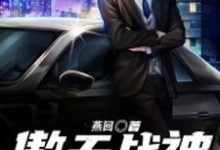 想读萧傲天李玉心的故事，哪里可以免费找到傲天战神？-侠客文学