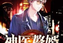 神医赘婿章节免费在线阅读，丁一飞于馨完结版-侠客文学