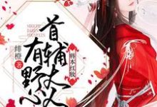 将本红妆 ：首辅大人有野心最新章节，将本红妆 ：首辅大人有野心免费阅读-侠客文学